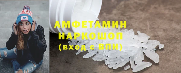 ГАЛЛЮЦИНОГЕННЫЕ ГРИБЫ Михайлов