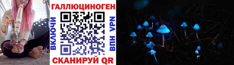 Псилоцибиновые грибы Psilocybine cubensis  Нолинск 